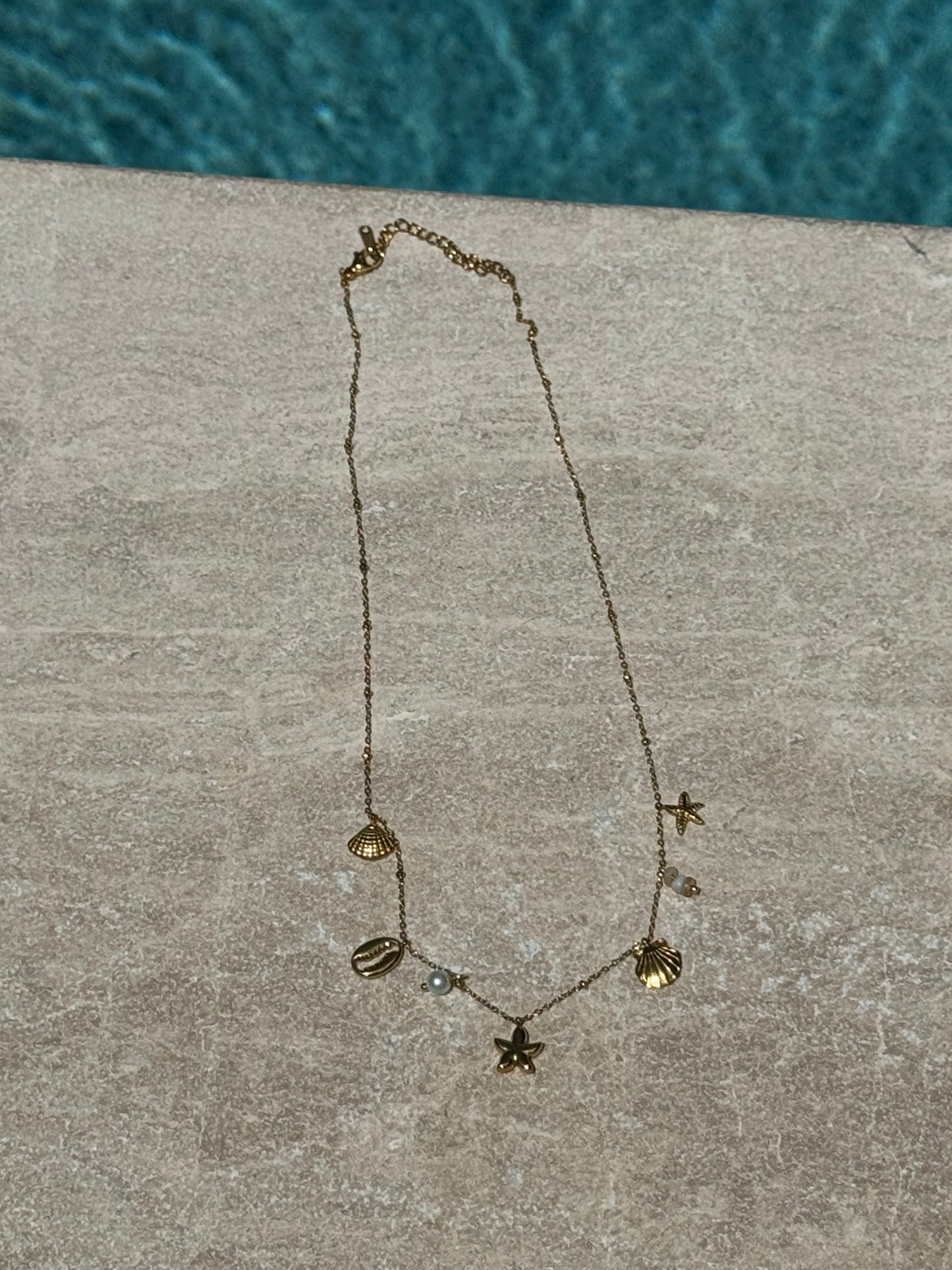 Team Cousins Shell Charm 316L Stainless Steel Necklace