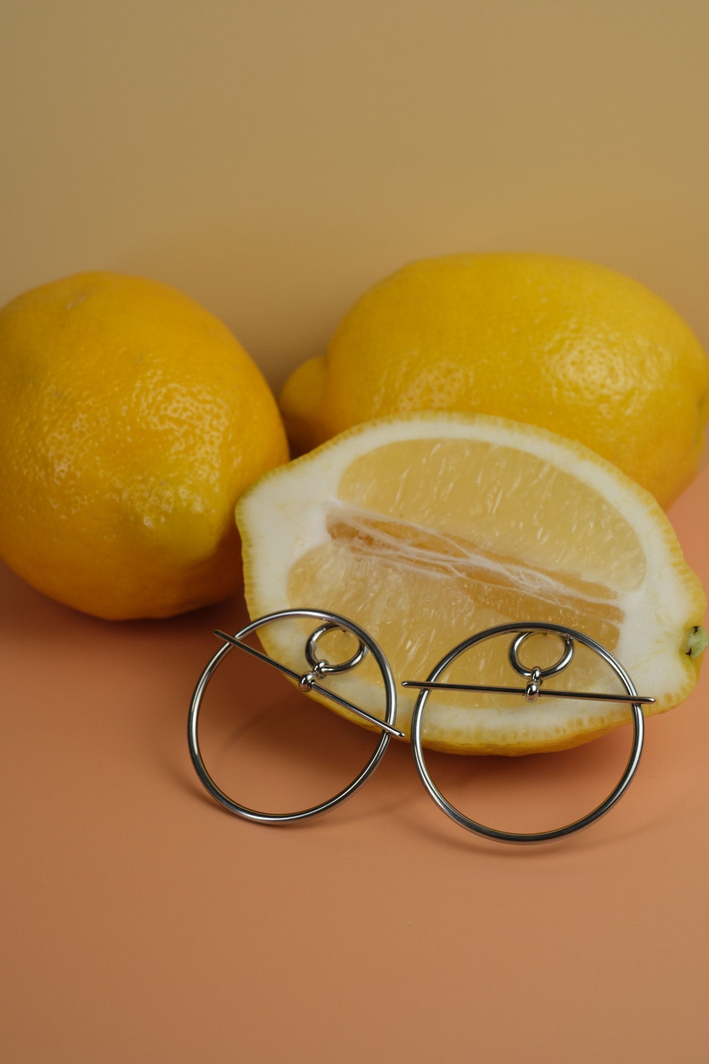 Happy Hour 316L Stainless Steel Hoops