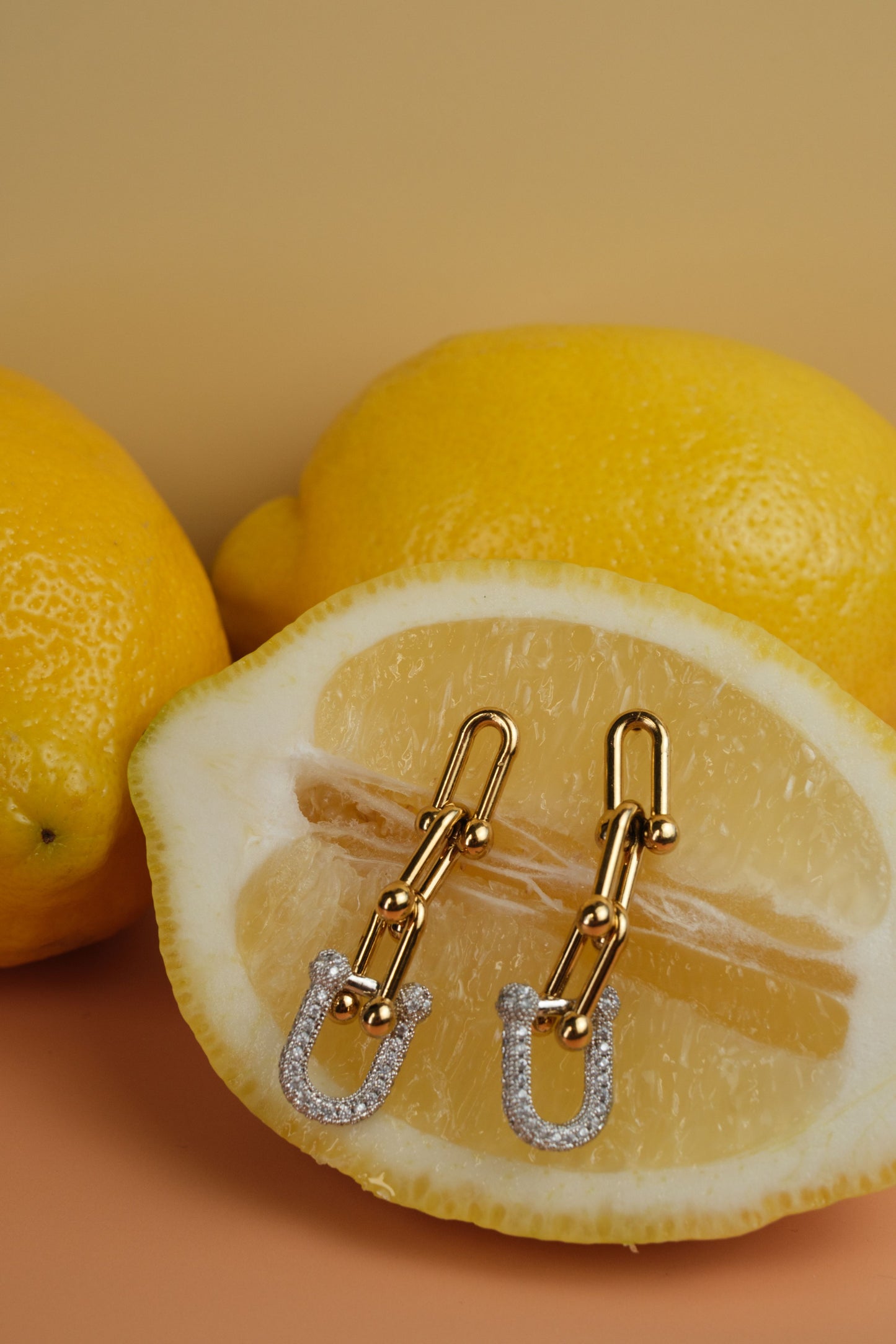 Linked + Loaded 316L Stainless Steel Earrings