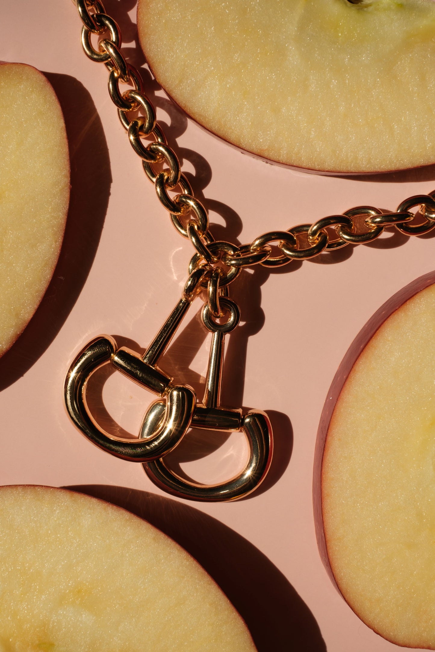 Hold the Reins Gold 316L Stainless Steel Necklace