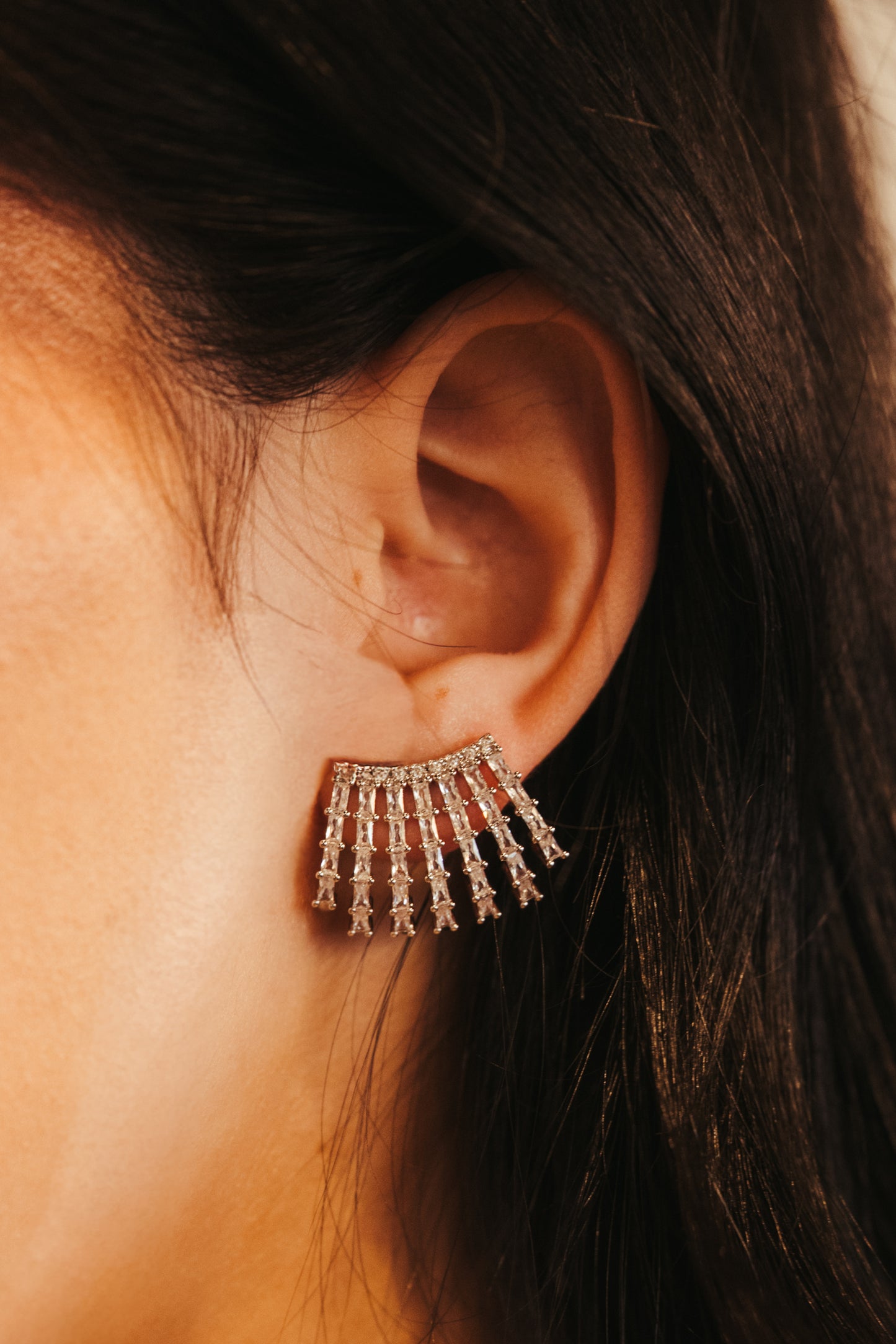 Regal Revival 316L Stainless Steel Crystal Jacket Earrings