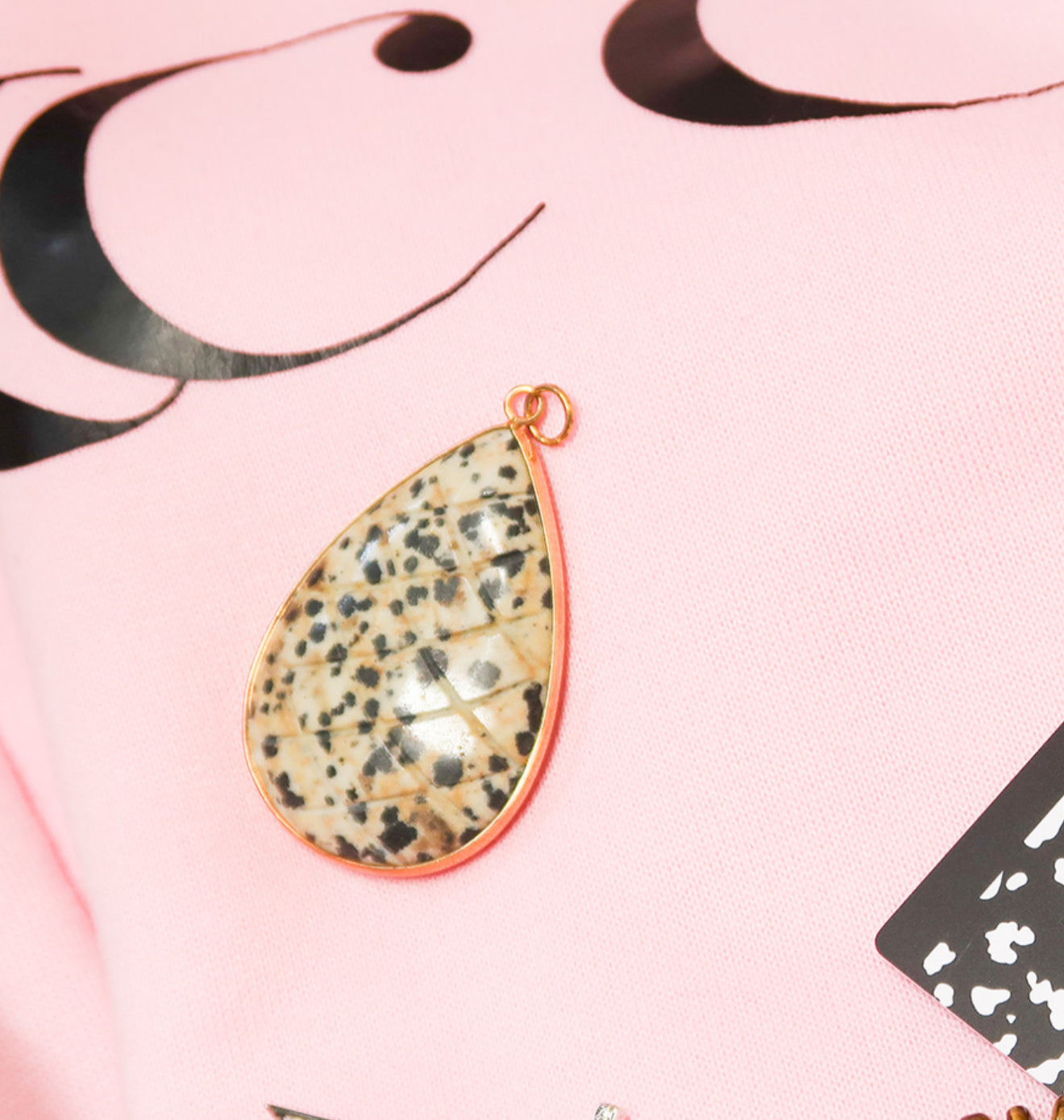 Biology Dalmatian Jasper or Onyx Natural Stone Charm