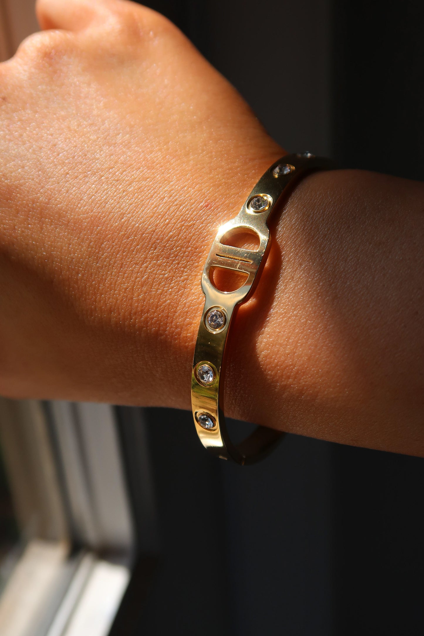 Trinidad 316L Stainless Steel Crystal Gold Bangle