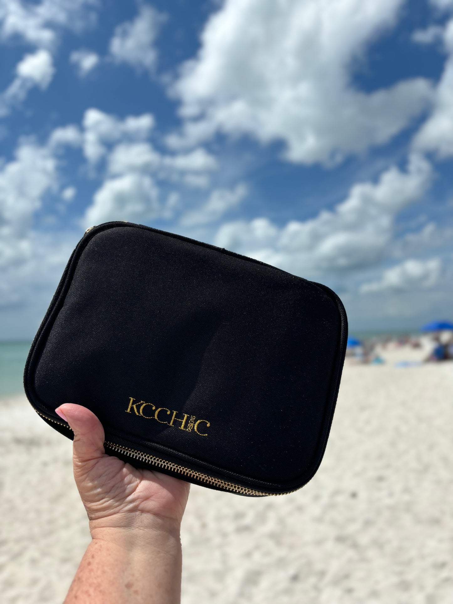 Luxe Jewelry Travel Organizer