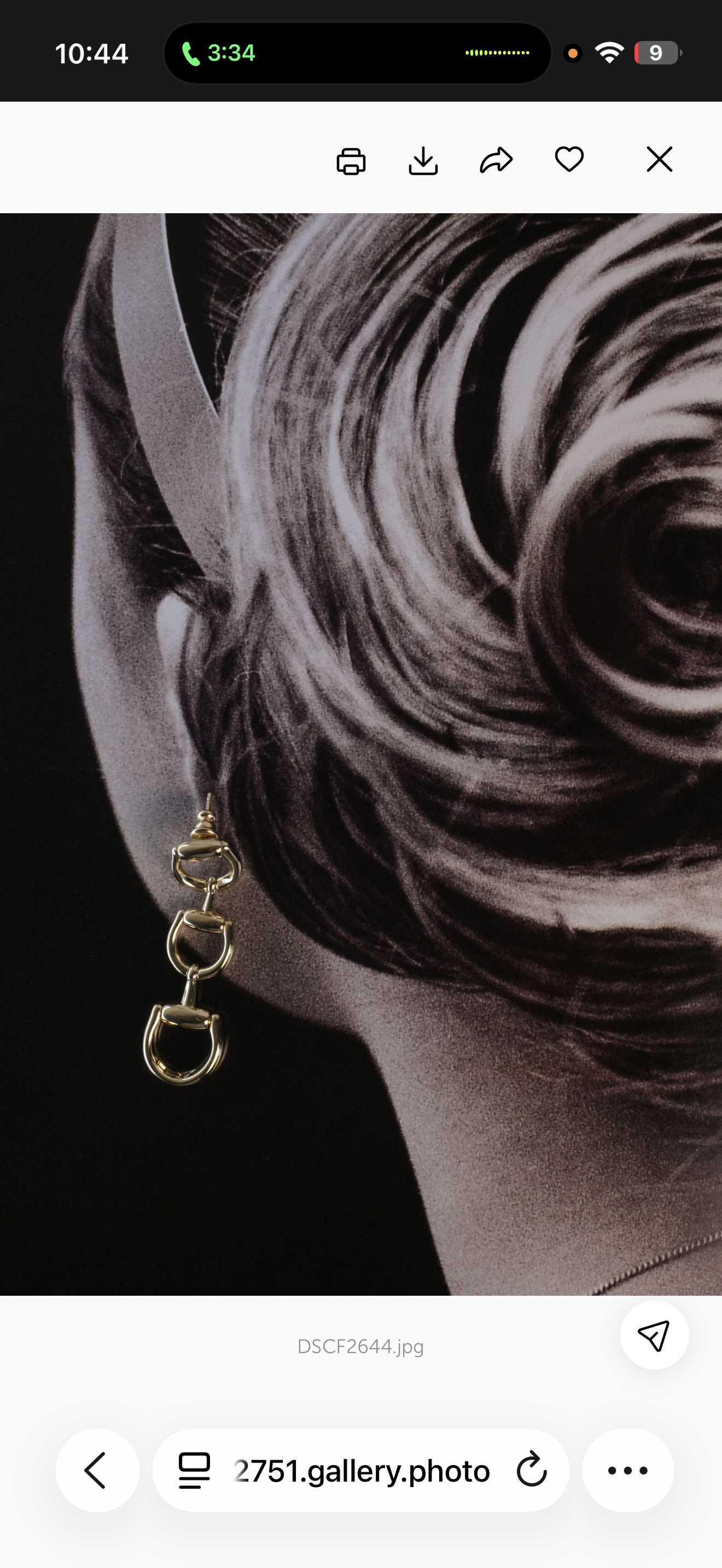 A little Bit of Luck Horse Bit Collection