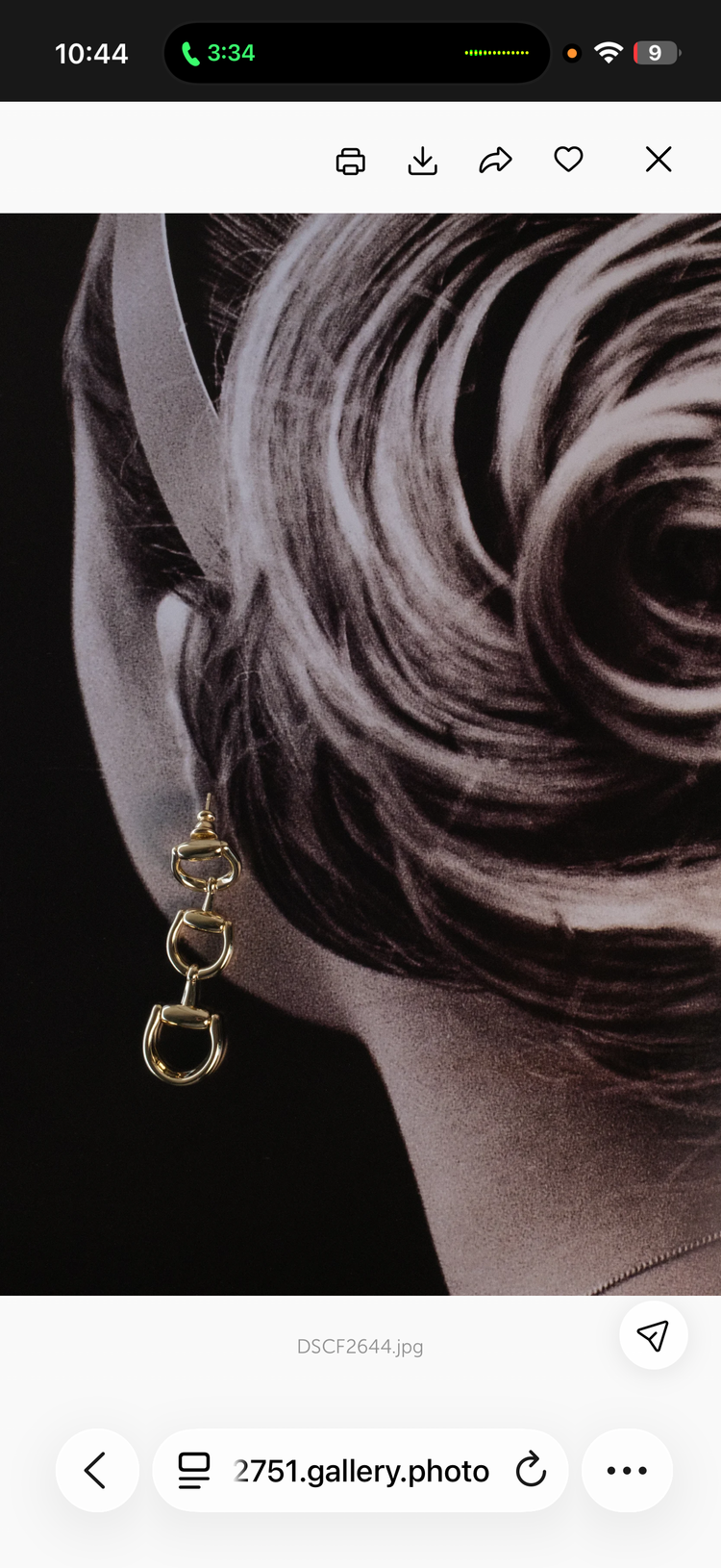 A little Bit of Luck Horse Bit Collection