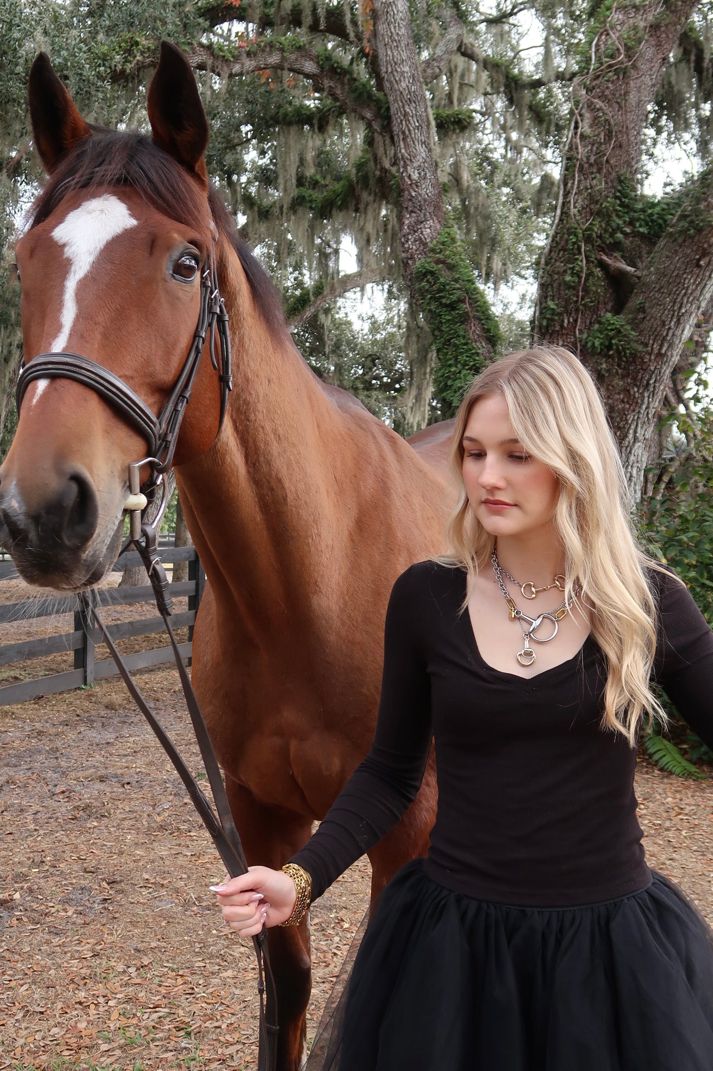 Destined Horse Bit 316L Stainless Steel Necklace