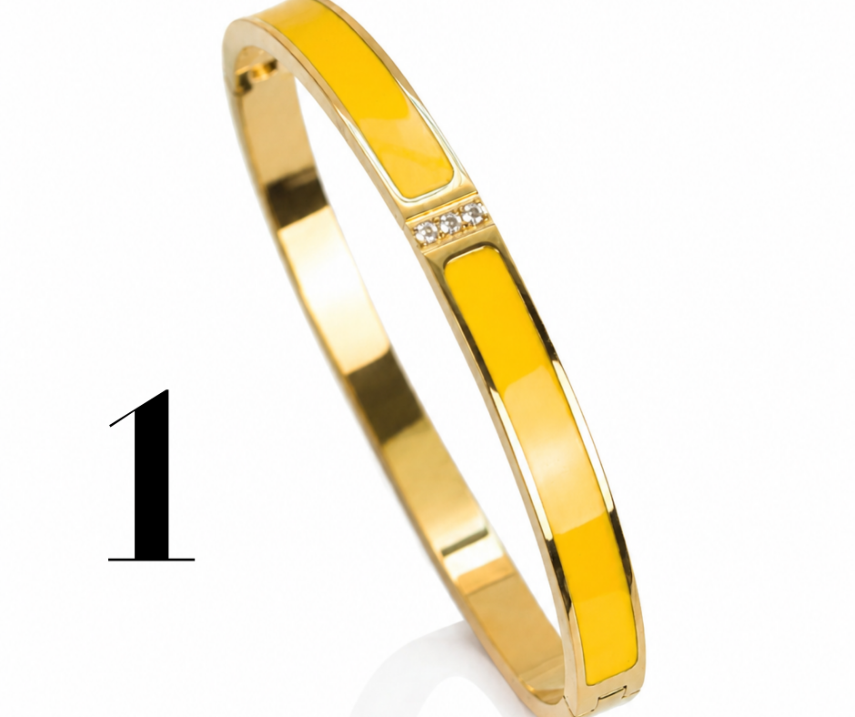 Color Pop 316L Stainless Steel Bangle