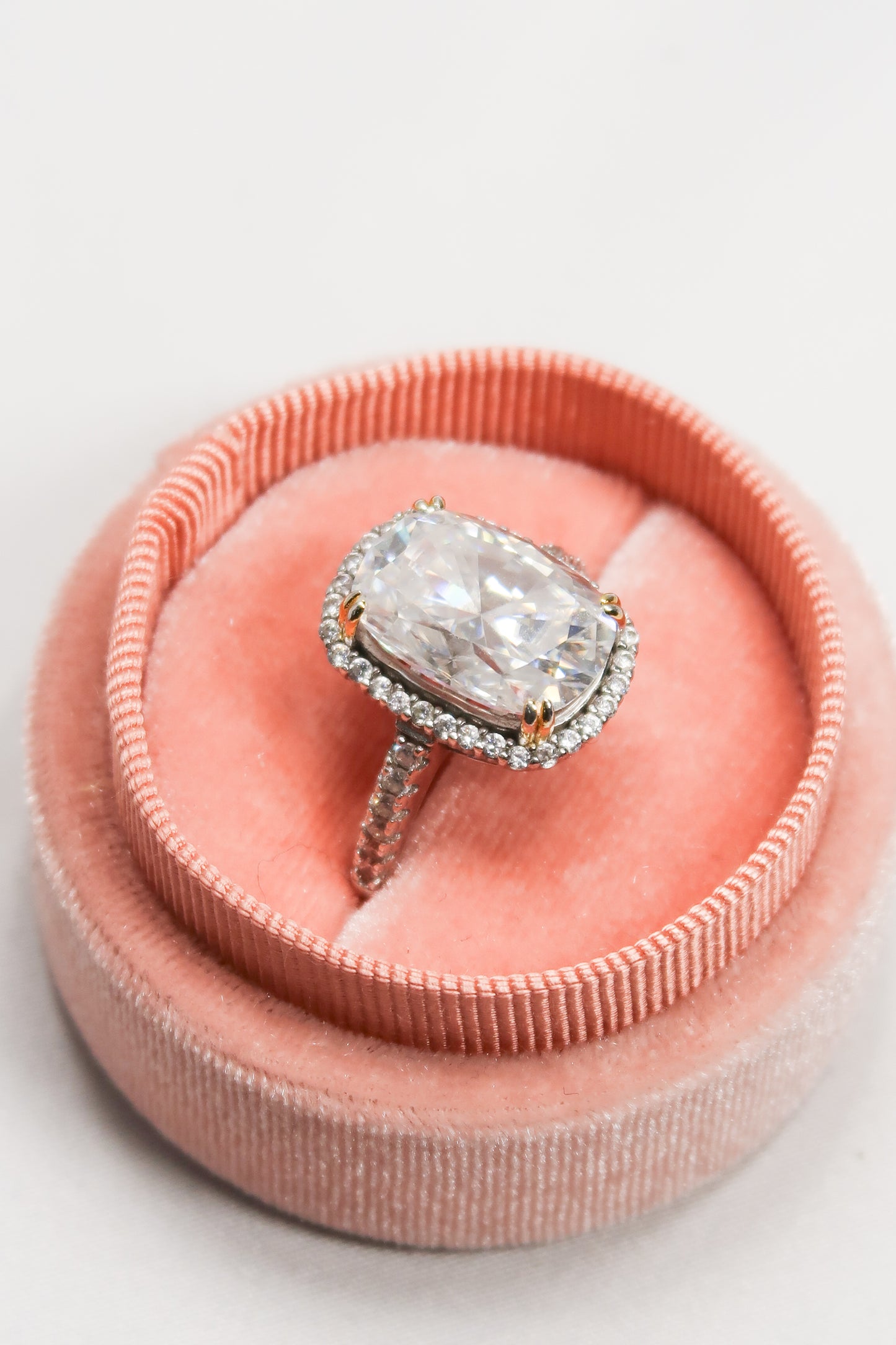 Crown Jewel 10 Carat .925 Sterling Silver Moissanite Ring