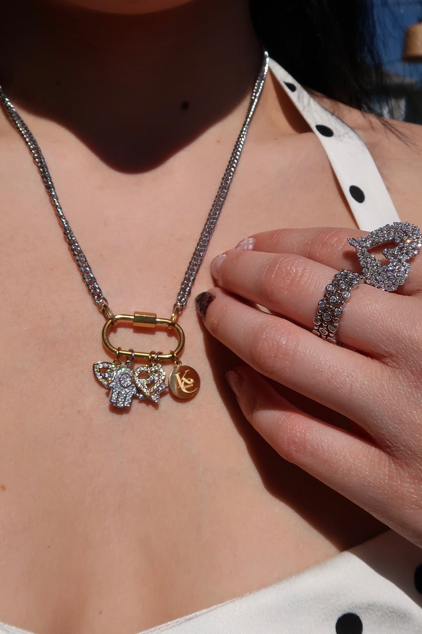 Charmed Life 5 Charm Two Tone 316L Stainless Steel Necklace