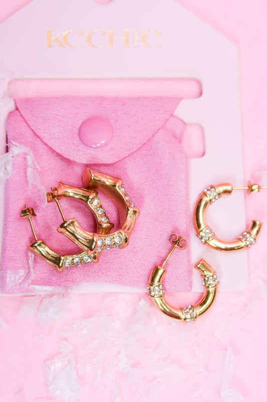 Bamboo 316L Stainless Steel Earrings Duo