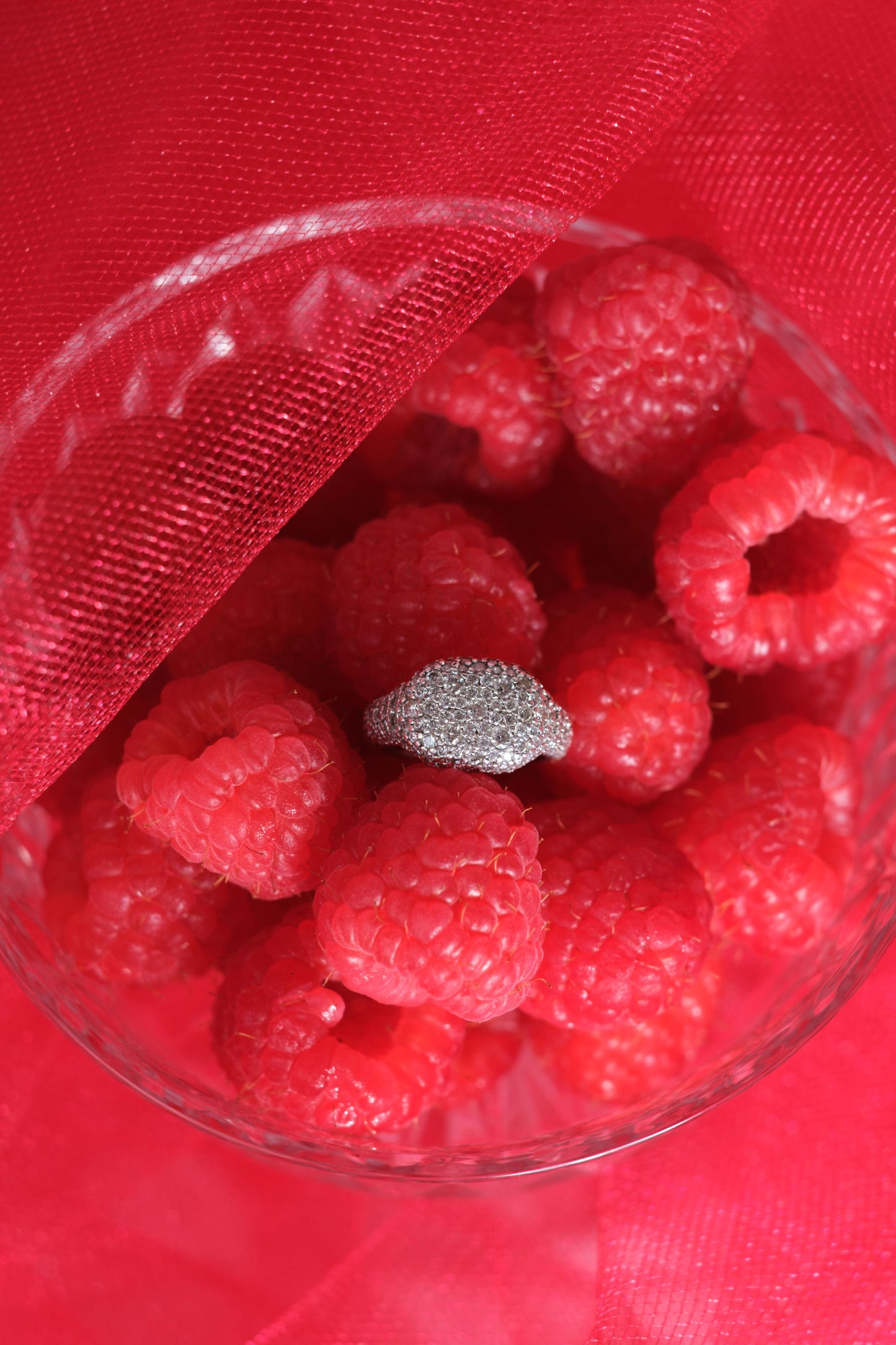 Regal .925 Sterling Silver Pavé Moissanite Signet Ring