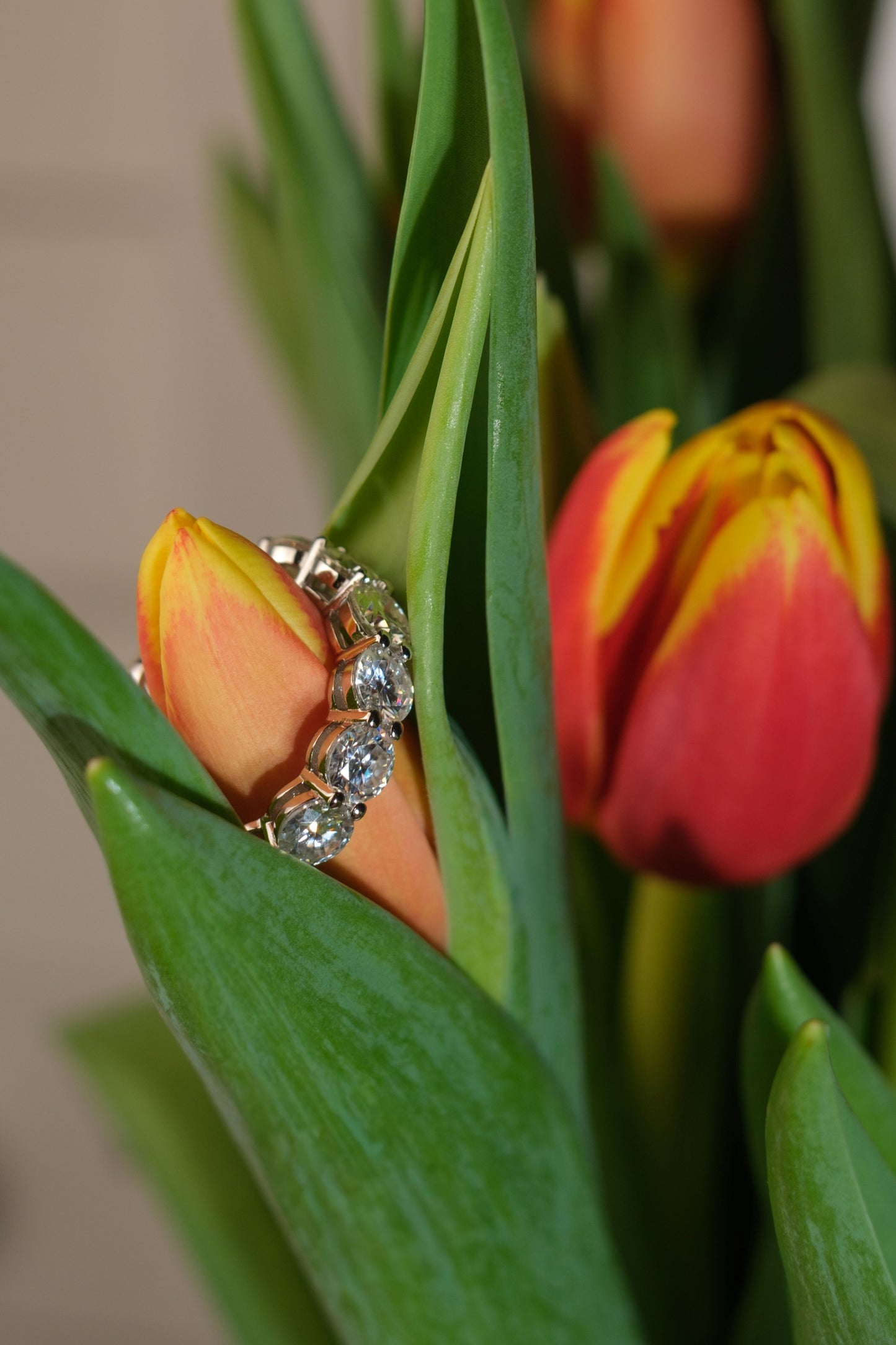 HBIC In Training .925 Sterling Silver 5 Carat Moissanite Ring