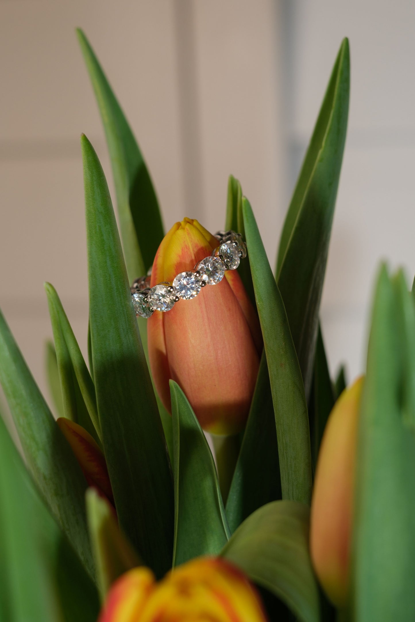 HBIC In Training .925 Sterling Silver 5 Carat Moissanite Ring