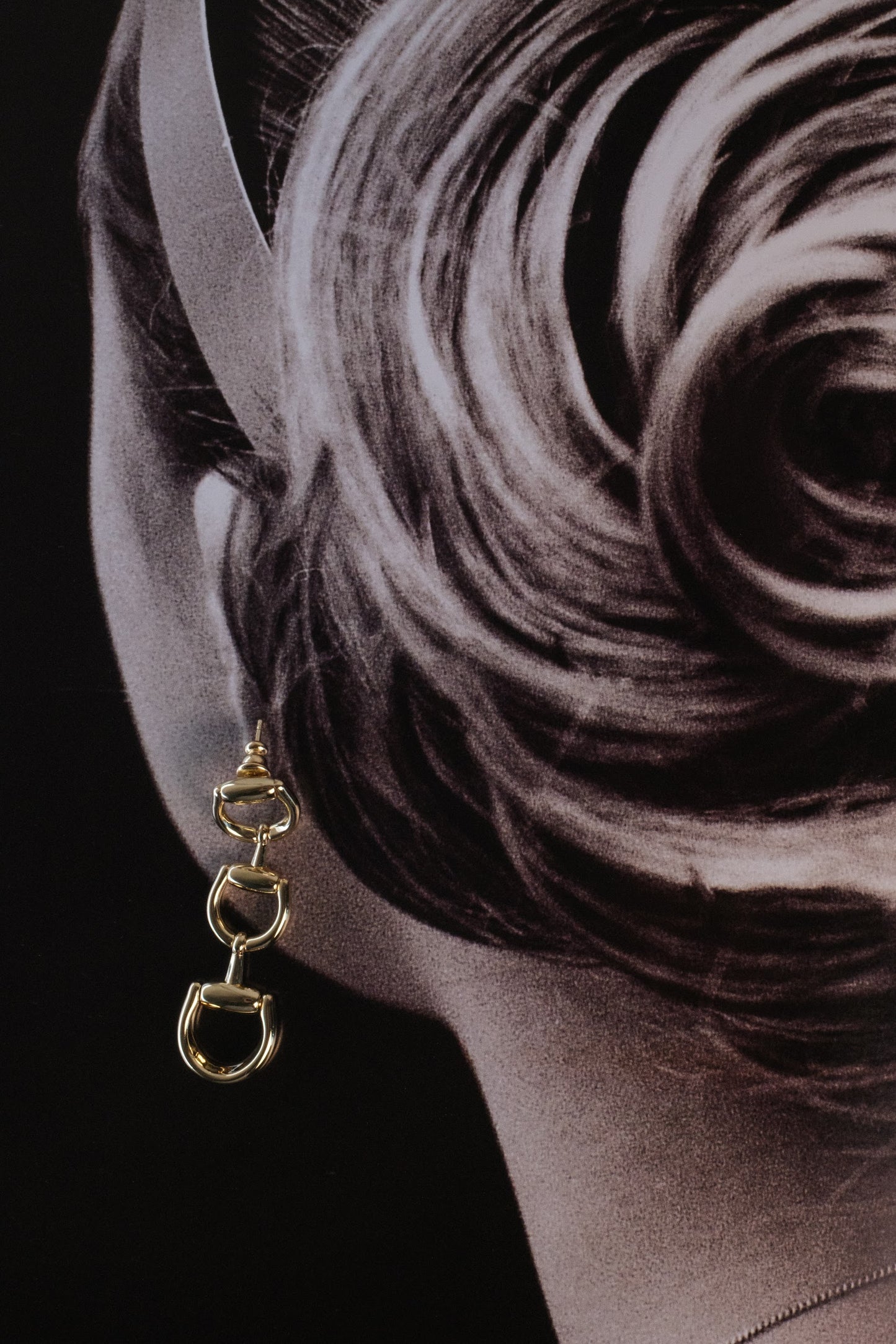 Lucky Horse Bit Earrings 316L Stainless Steel Earrings