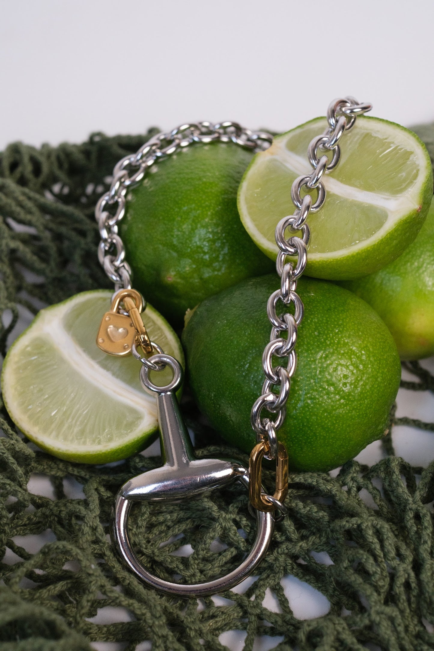 Fortuna Horse Bit 316L Stainless Steel Statement Necklace