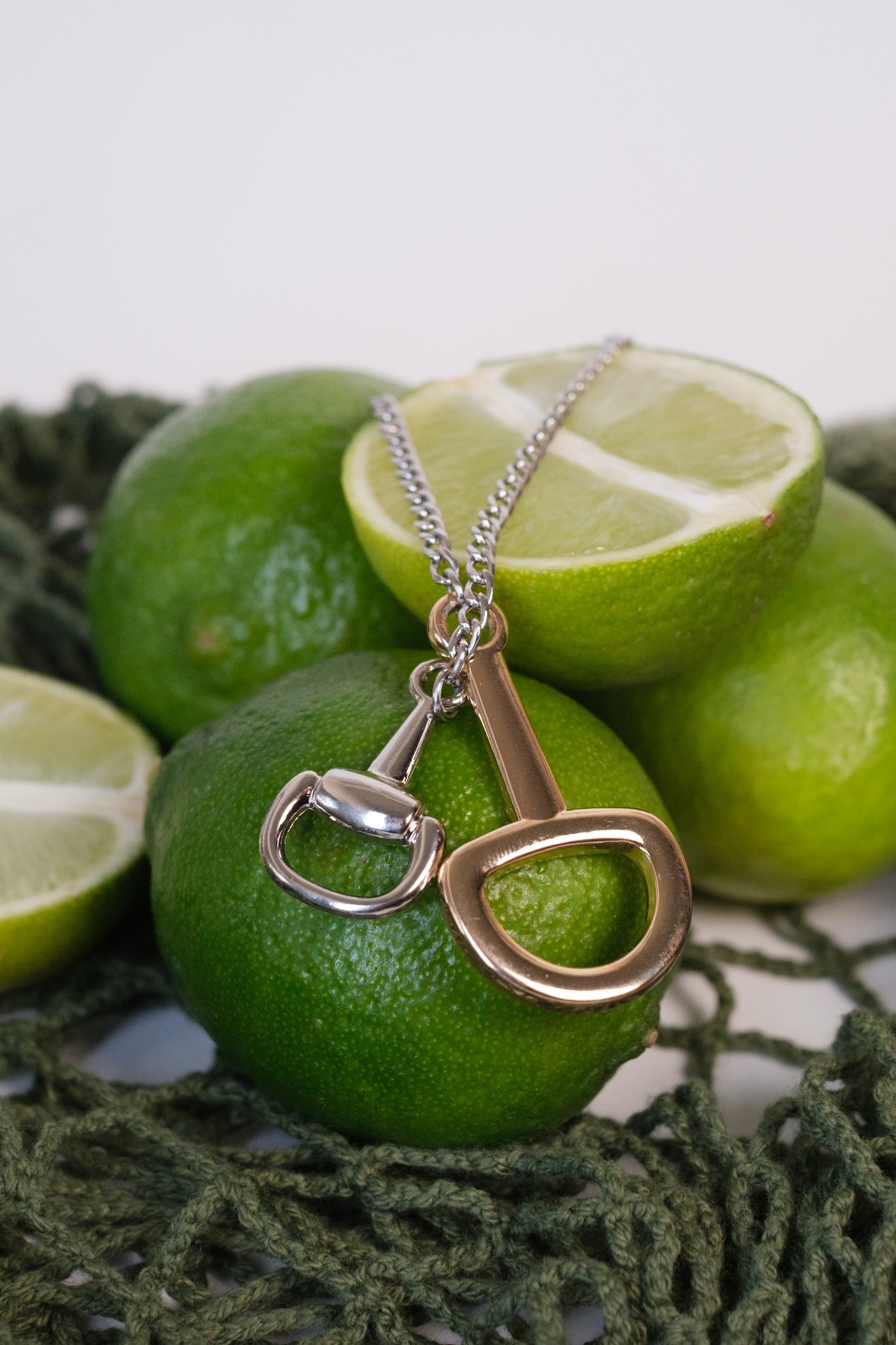 In Her Favor  Horse Bit 316L Stainless Steel Necklace