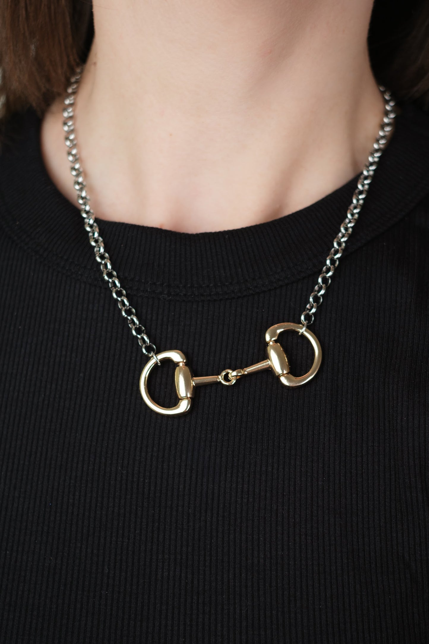 Destined Horse Bit 316L Stainless Steel Necklace