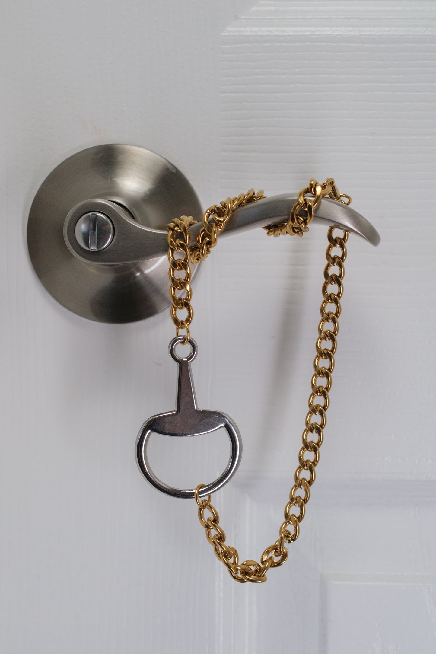 In Control Horse Bit 316L Stainless Steel Necklace