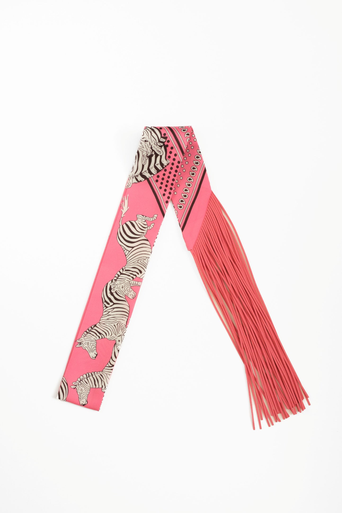 Spring Sundara Purse with Fringe Twilly