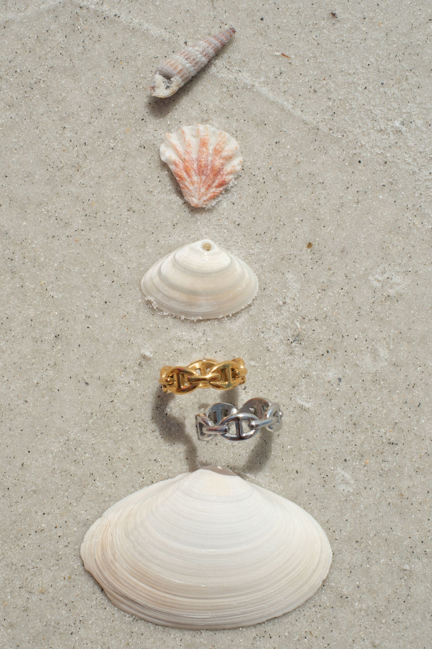 The Marina 316L Stainless Steel Ring