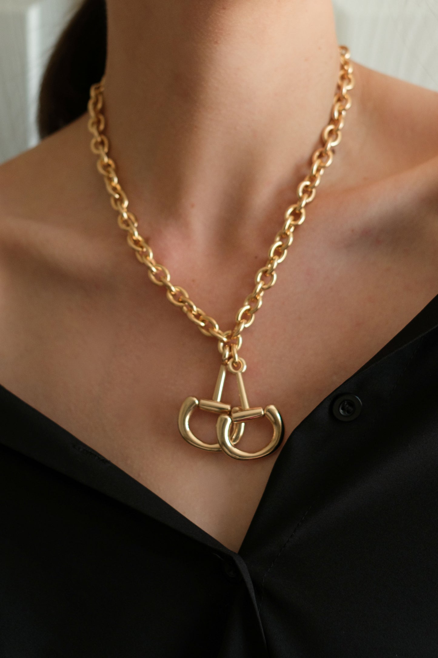 Hold the Reins Gold 316L Stainless Steel Necklace