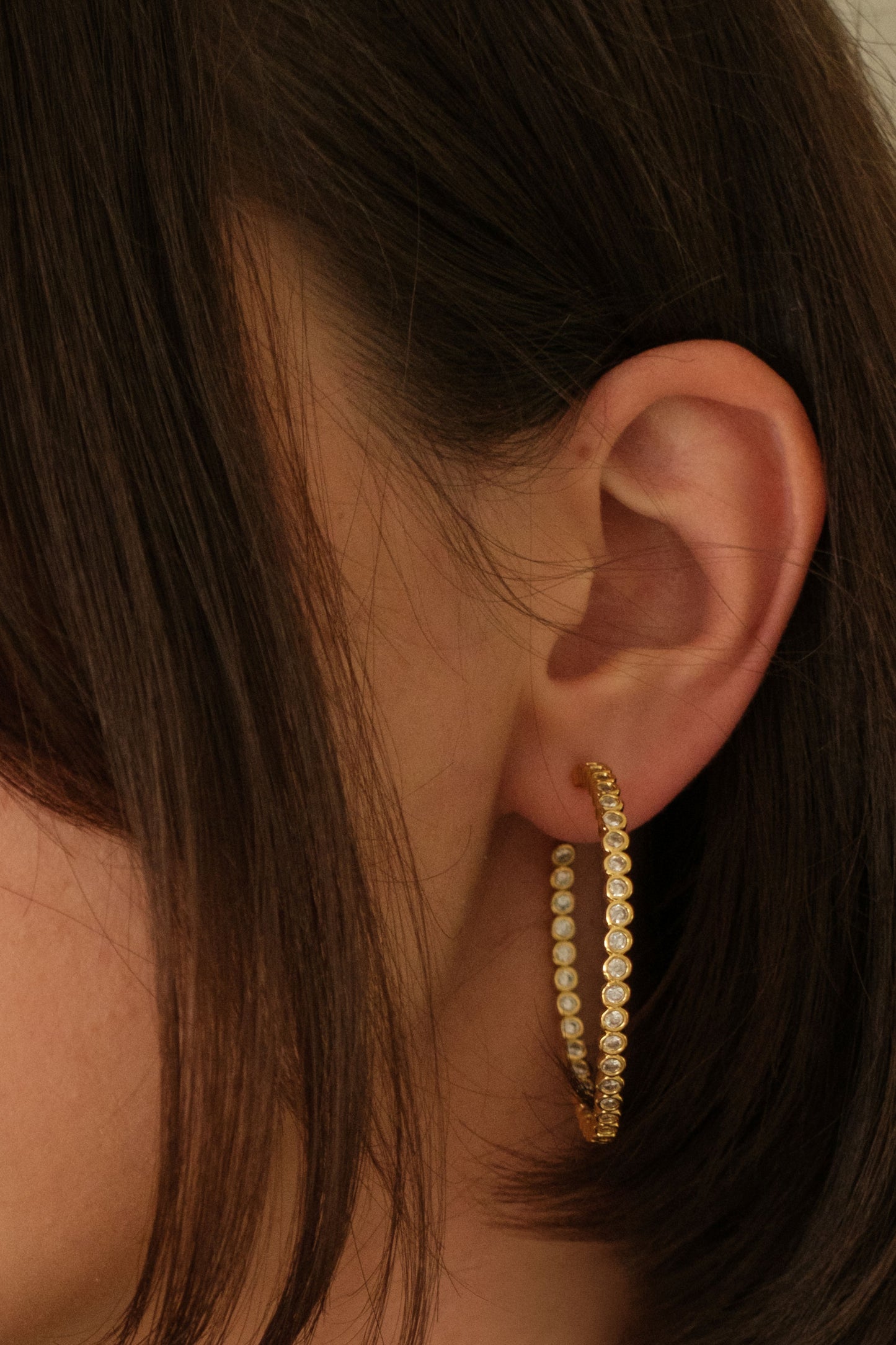 Center Stage Crystal Studded 316L Stainless Steel Hoops