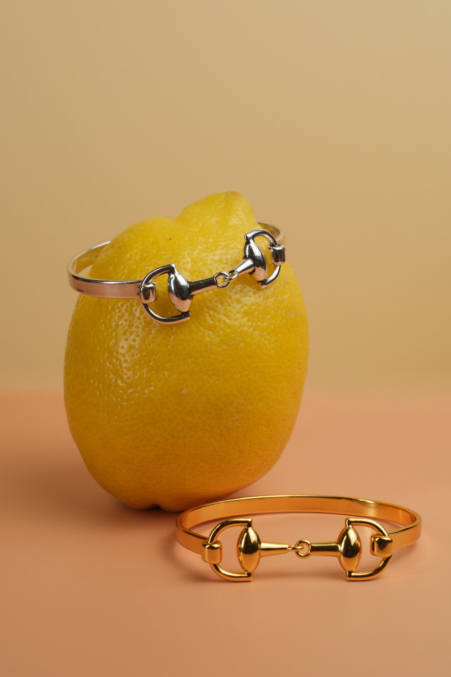 Heritage Horsebit Bangle 316L Stainless Steel Bangle