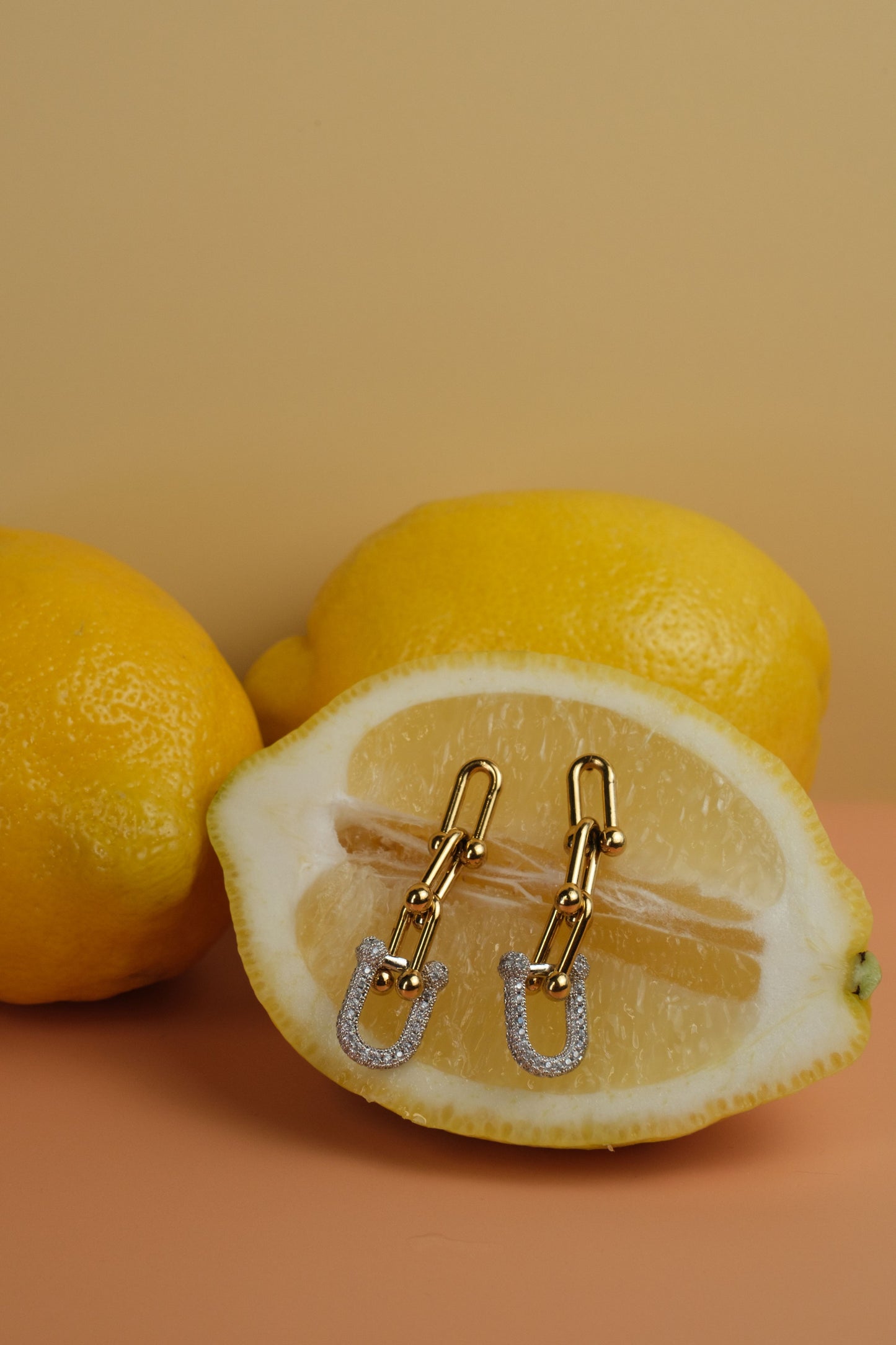 Linked + Loaded 316L Stainless Steel Earrings