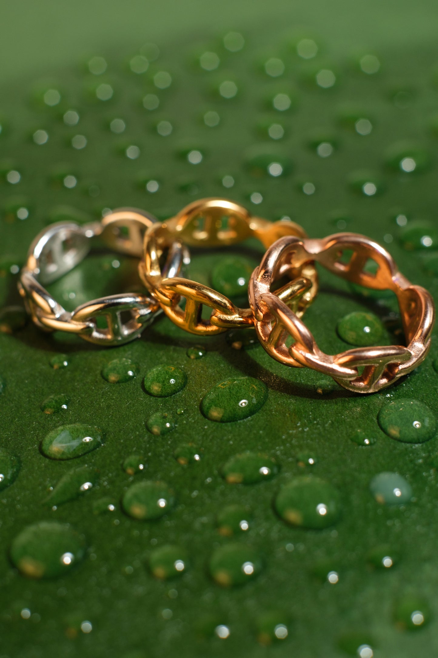 The Marina 316L Stainless Steel Ring
