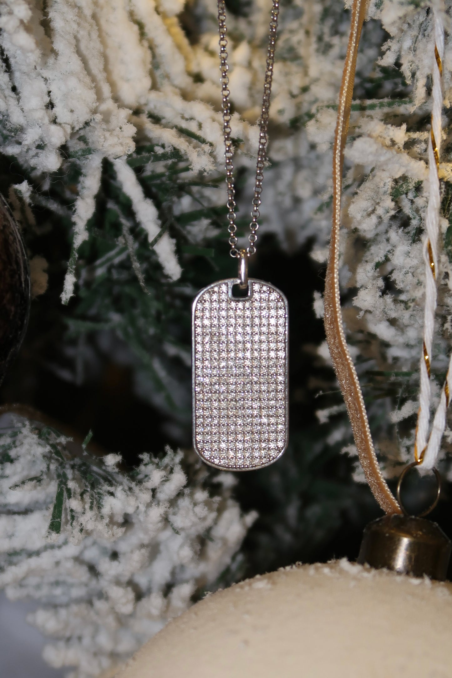 Crush.925 Sterling Silver Moissanite Necklace with FREE MAGNET