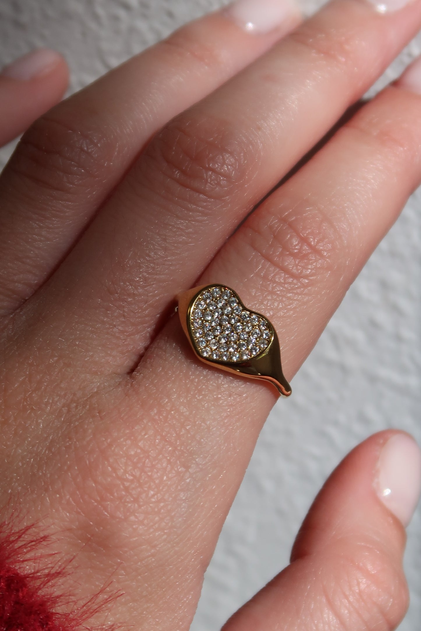 5 Golden 316L Stainless Steel Adjustable Rings *Comes With Cherry Case*