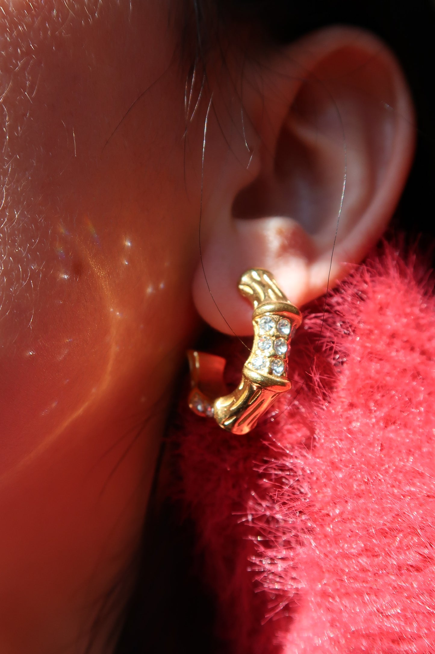 Bamboo 316L Stainless Steel Earrings Duo