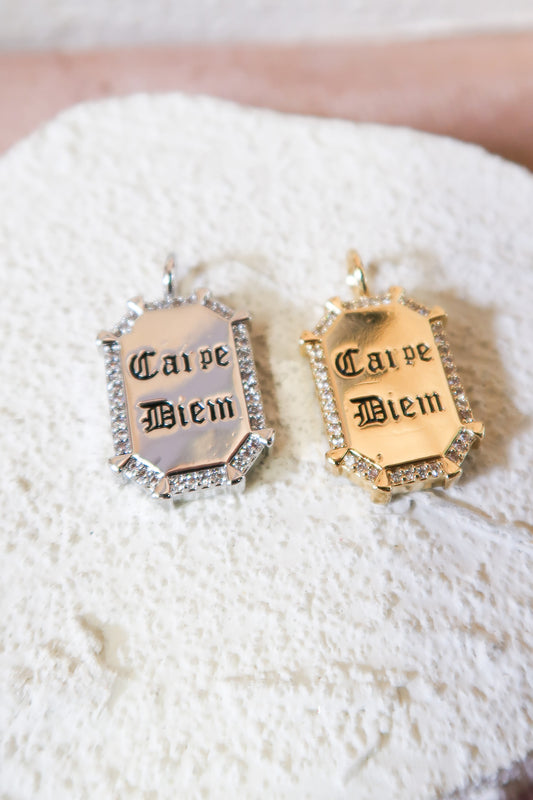 Carpe Diem 316L Stainless Steel Crystal Charm