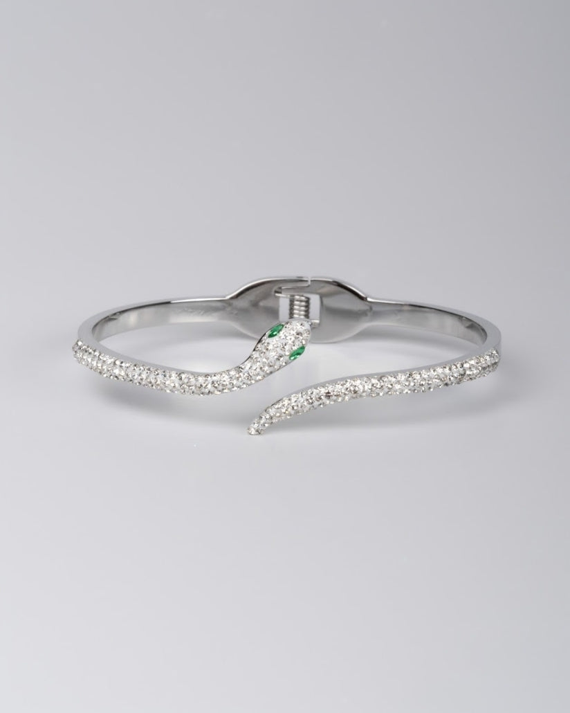Snake Charmer 316L Stainless Steel Crystal Snake Bangle
