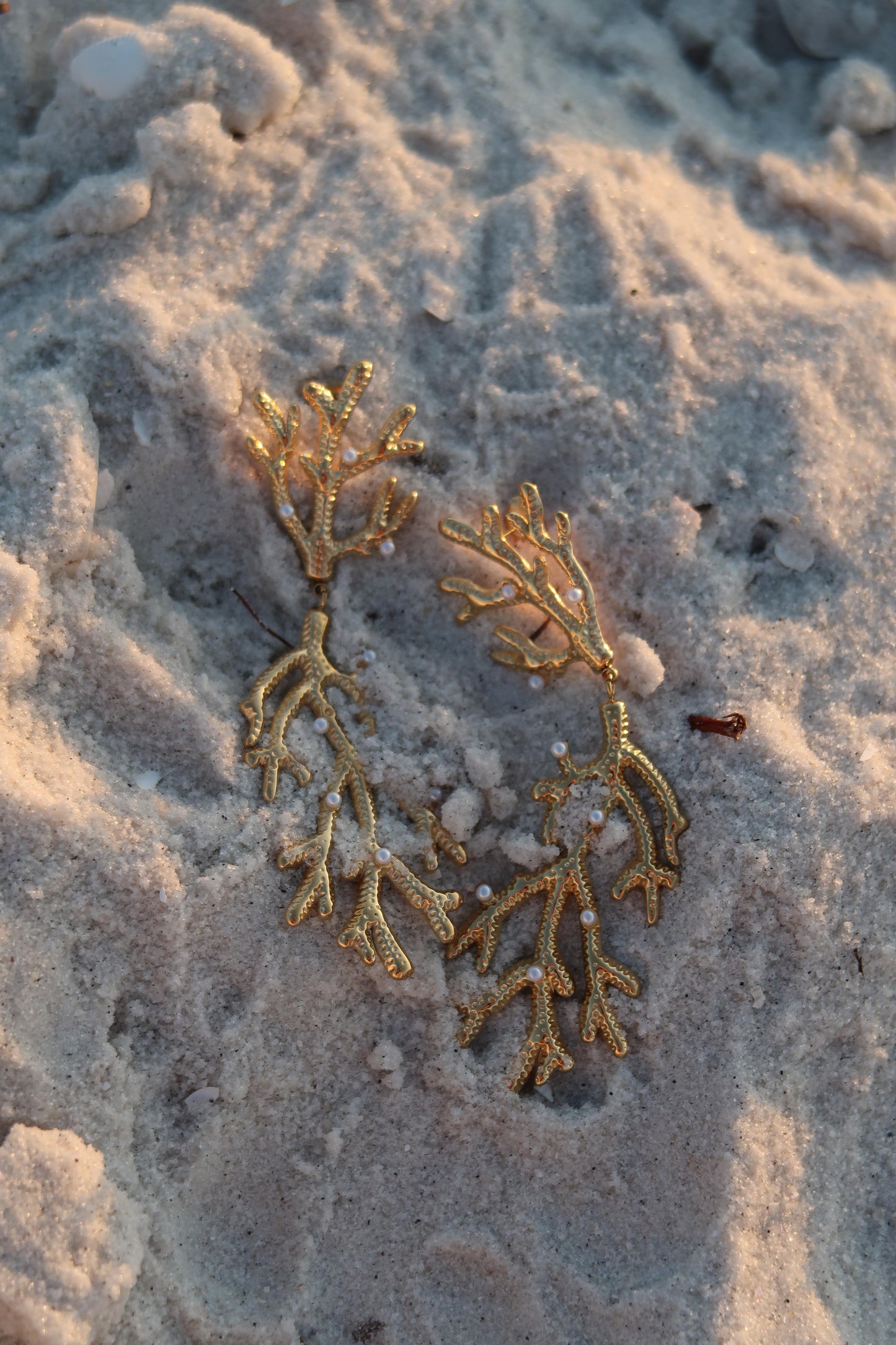 Coral Island 316L Stainless Steel earrings