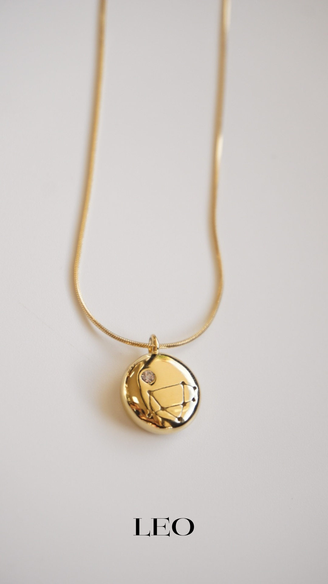 Written in the Stars 316L Stainless Steel Zodiac Necklace