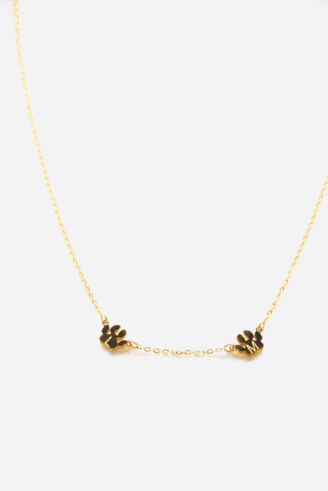 Engraved Abbie Paw Print Necklace